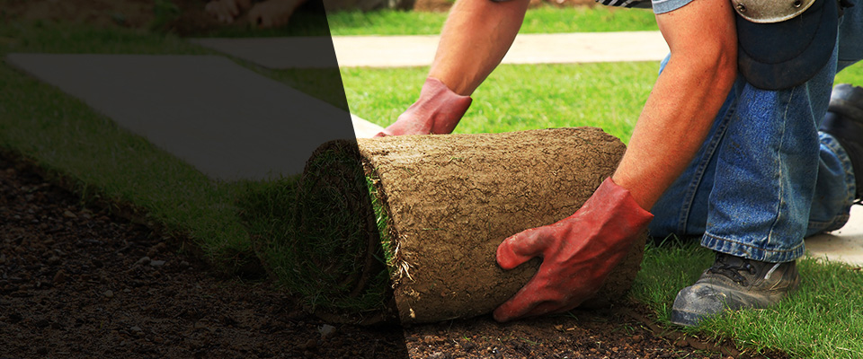 Revere Landscapers
